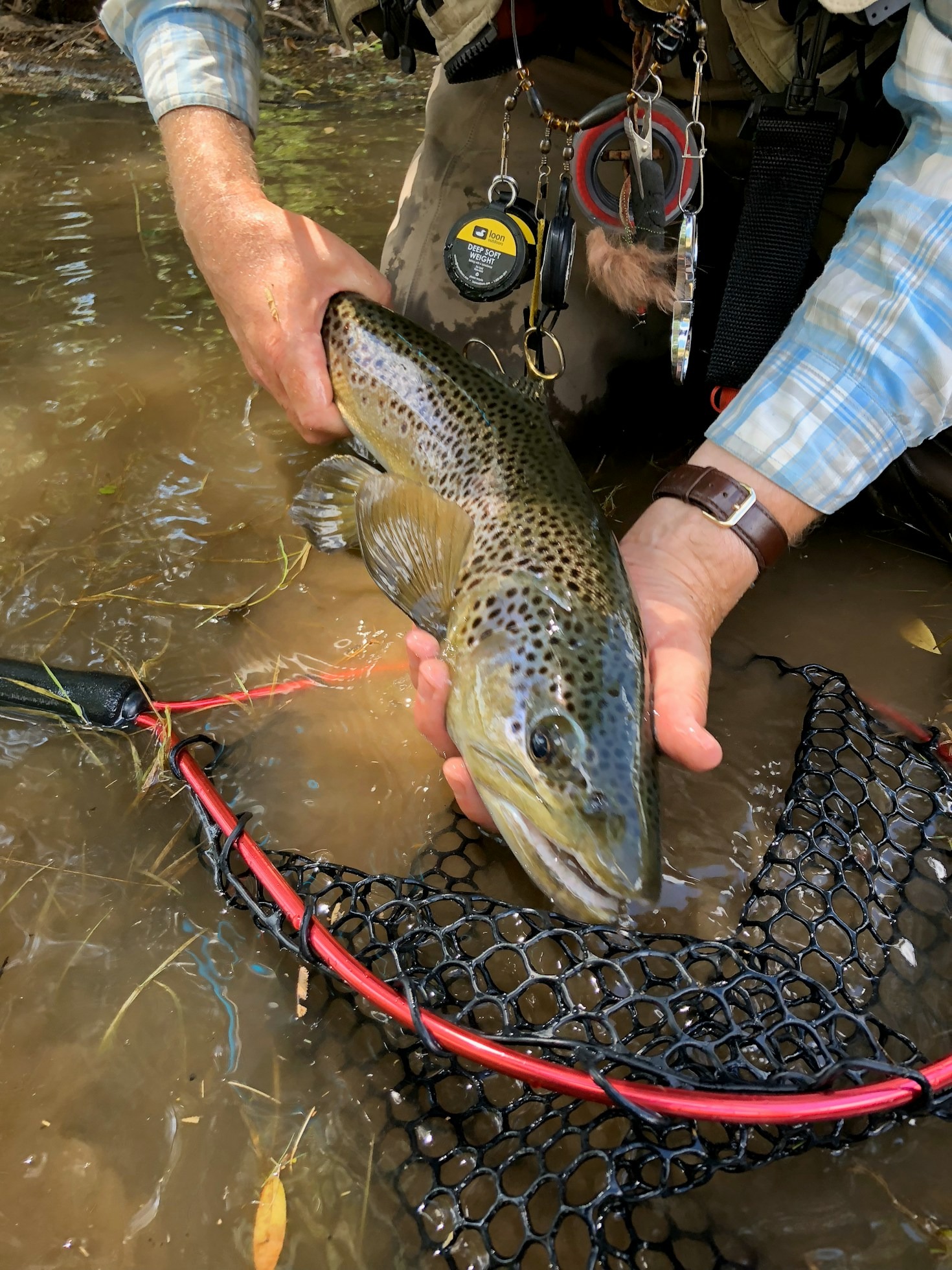 Navigating Inland Lakes Across Northern Wisconsin